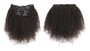 Brazilian Afro Kinky Curly Clip-Ins_